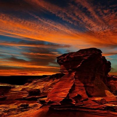 leyu·乐鱼(中国)体育app下载