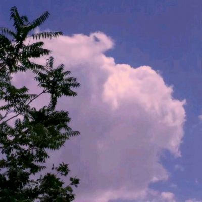 半岛手机综合体育官方下载