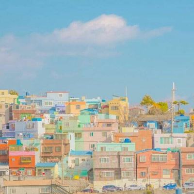 开云集团手机app下载